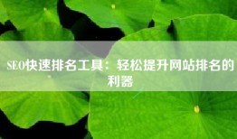 SEO快速排名工具：轻松提升网站排名的利器