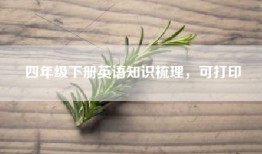 四年级下册英语知识梳理，可打印