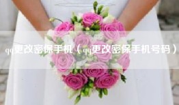 qq更改密保手机（qq更改密保手机号码）