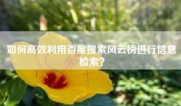 如何高效利用百度搜索风云榜进行信息检索？
