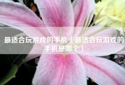 最适合玩游戏的手机（最适合玩游戏的手机是哪个）