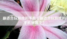 最适合玩游戏的手机（最适合玩游戏的手机是哪个）