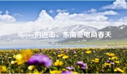 Shopee的进击，东南亚电商春天
