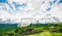 温州网站优化_温州seo_SEO网络推广外包公司 温州网站推广招聘信息