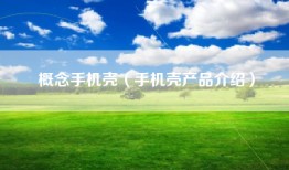 概念手机壳（手机壳产品介绍）