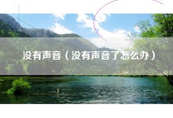没有声音（没有声音了怎么办）