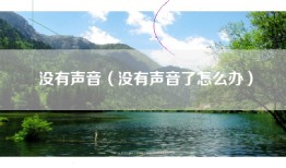 没有声音（没有声音了怎么办）