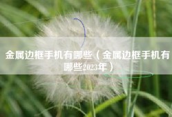 金属边框手机有哪些（金属边框手机有哪些2023年）
