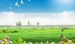 手机掉茅坑（手机掉茅坑怎么捞）