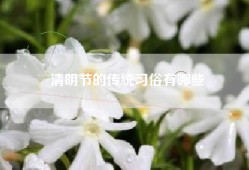 清明节的传统习俗有哪些