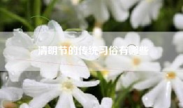 清明节的传统习俗有哪些