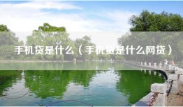 手机贷是什么（手机贷是什么网贷）