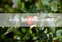AI Studio 永久性使用pytorch框架