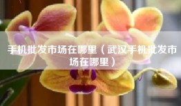 手机批发市场在哪里（武汉手机批发市场在哪里）