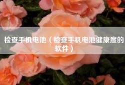 检查手机电池（检查手机电池健康度的软件）