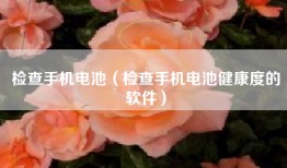 检查手机电池（检查手机电池健康度的软件）