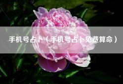 手机号占卜（手机号占卜免费算命）