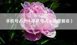 手机号占卜（手机号占卜免费算命）