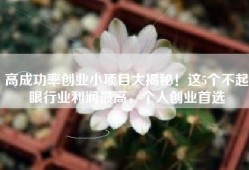 高成功率创业小项目大揭秘！这5个不起眼行业利润最高，个人创业首选