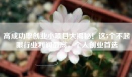 高成功率创业小项目大揭秘！这5个不起眼行业利润最高，个人创业首选