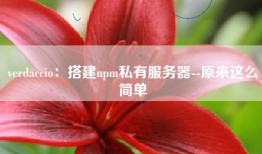 verdaccio：搭建npm私有服务器--原来这么简单