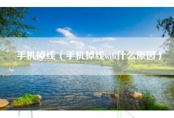 手机掉线（手机掉线wifi什么原因）