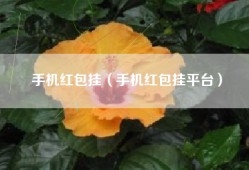手机红包挂（手机红包挂平台）