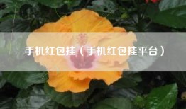 手机红包挂（手机红包挂平台）