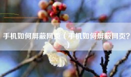 手机如何屏蔽网页（手机如何屏蔽网页？）