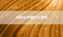 标的公司是什么意思