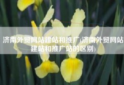 济南外贸网站建站和推广(济南外贸网站建站和推广站的区别)