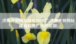 济南外贸网站建站和推广(济南外贸网站建站和推广站的区别)