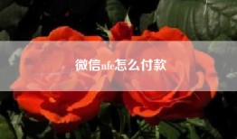 微信nfc怎么付款