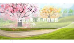 比亚迪唐L 汉L开启预售