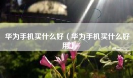 华为手机买什么好（华为手机买什么好用）