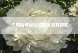 代理商与经销商的区别有哪些