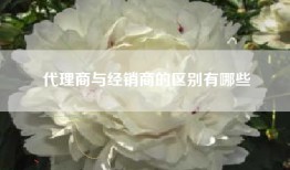 代理商与经销商的区别有哪些