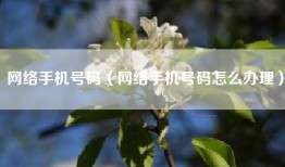 网络手机号码（网络手机号码怎么办理）