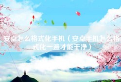 安卓怎么格式化手机（安卓手机怎么格式化一遍才能干净）