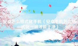 安卓怎么格式化手机（安卓手机怎么格式化一遍才能干净）