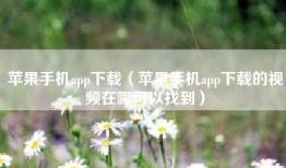 苹果手机app下载（苹果手机app下载的视频在哪可以找到）