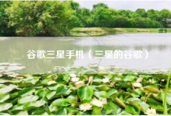 谷歌三星手机（三星的谷歌）