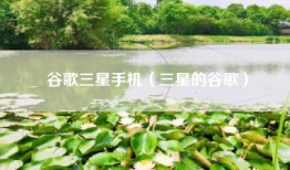 谷歌三星手机（三星的谷歌）