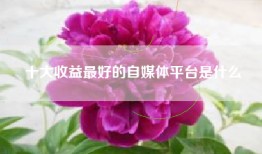 十大收益最好的自媒体平台是什么