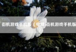 街机游戏手机版（电精1街机游戏手机版）