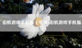 街机游戏手机版（电精1街机游戏手机版）