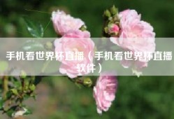 手机看世界杯直播（手机看世界杯直播软件）