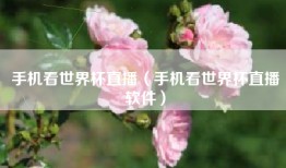 手机看世界杯直播（手机看世界杯直播软件）