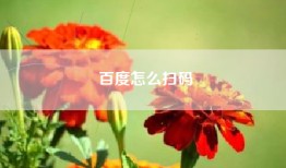 百度怎么扫码