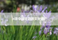 30项中国非物质文化遗产
